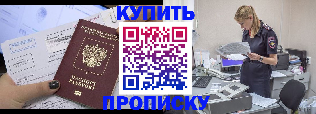 временная регистрация поиск в Брянской области